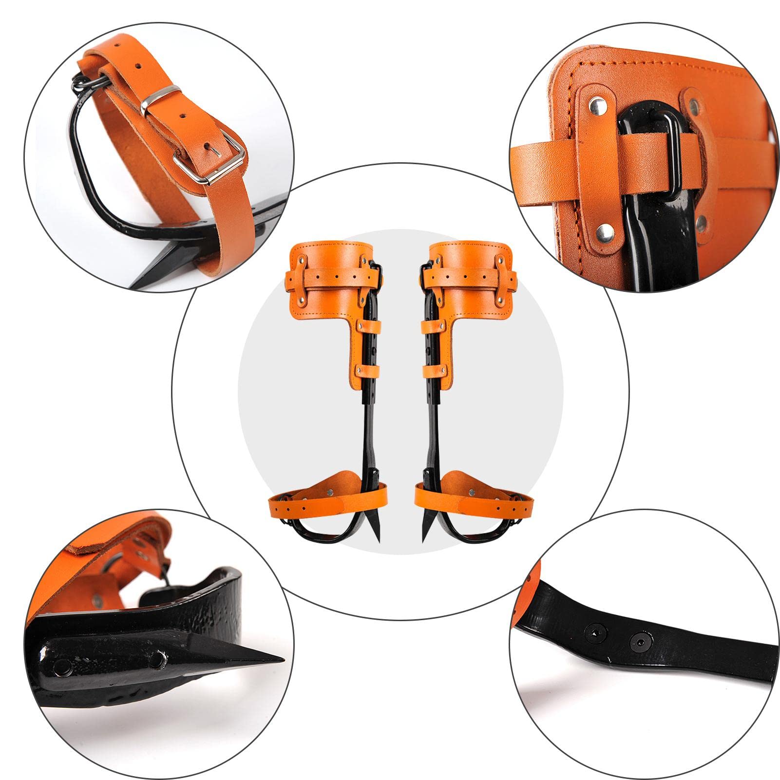 Amazon | CosHall 木登り靴 木登り器 木登り道具 保護 ト ステンレス鋼